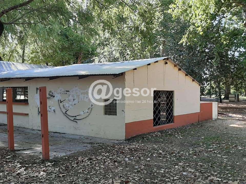 Image3
